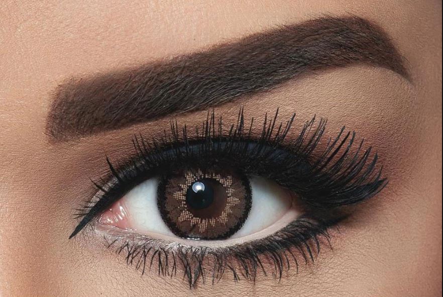 HighLight Circle Brown